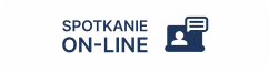 spotkanie online