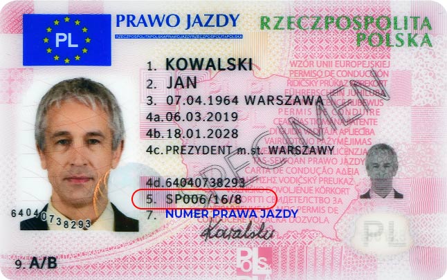 Numer prawa jazdy - gdzie jest?